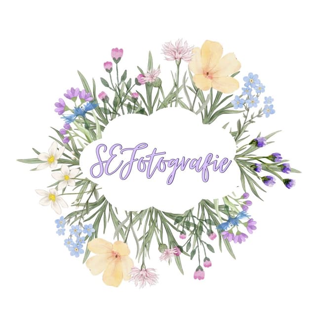 Sarah E. Fleishman mark