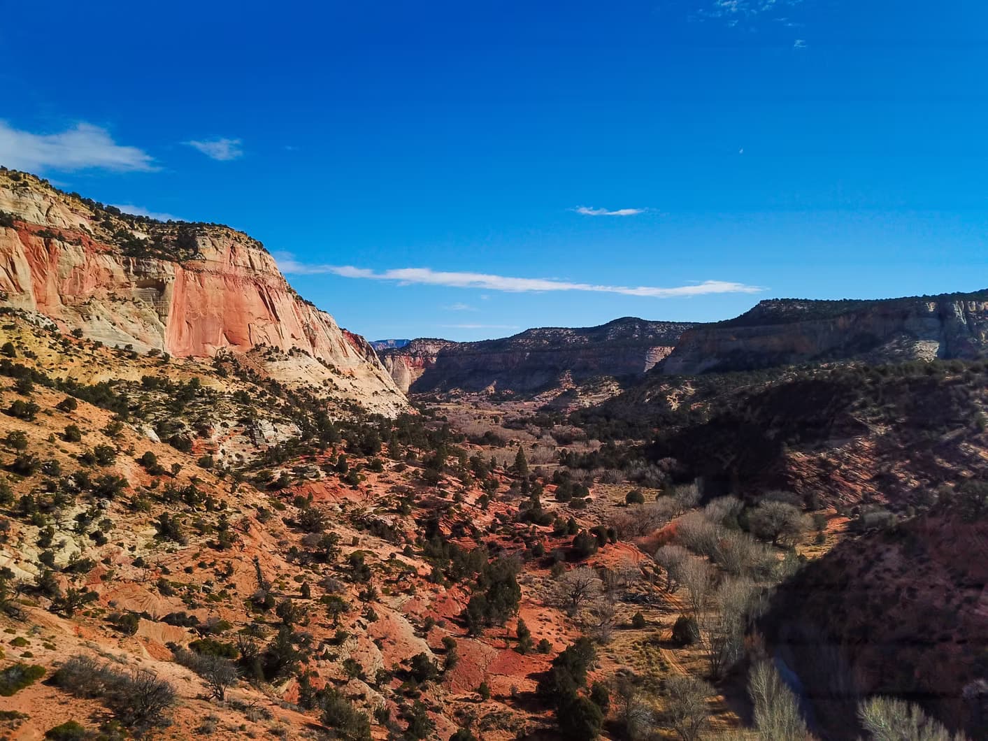 Briarstone Photography portfolio image 1