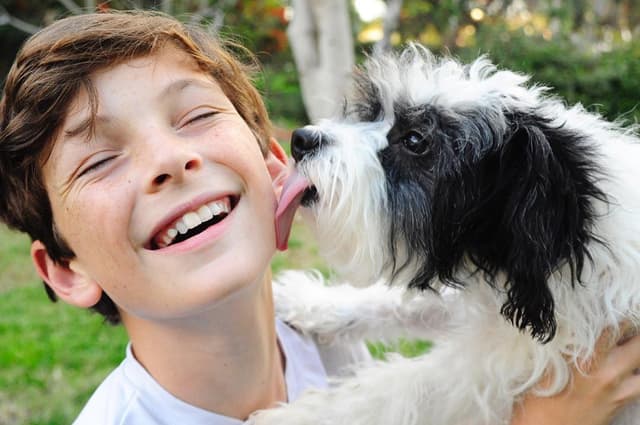 Briarstone Editorial mark