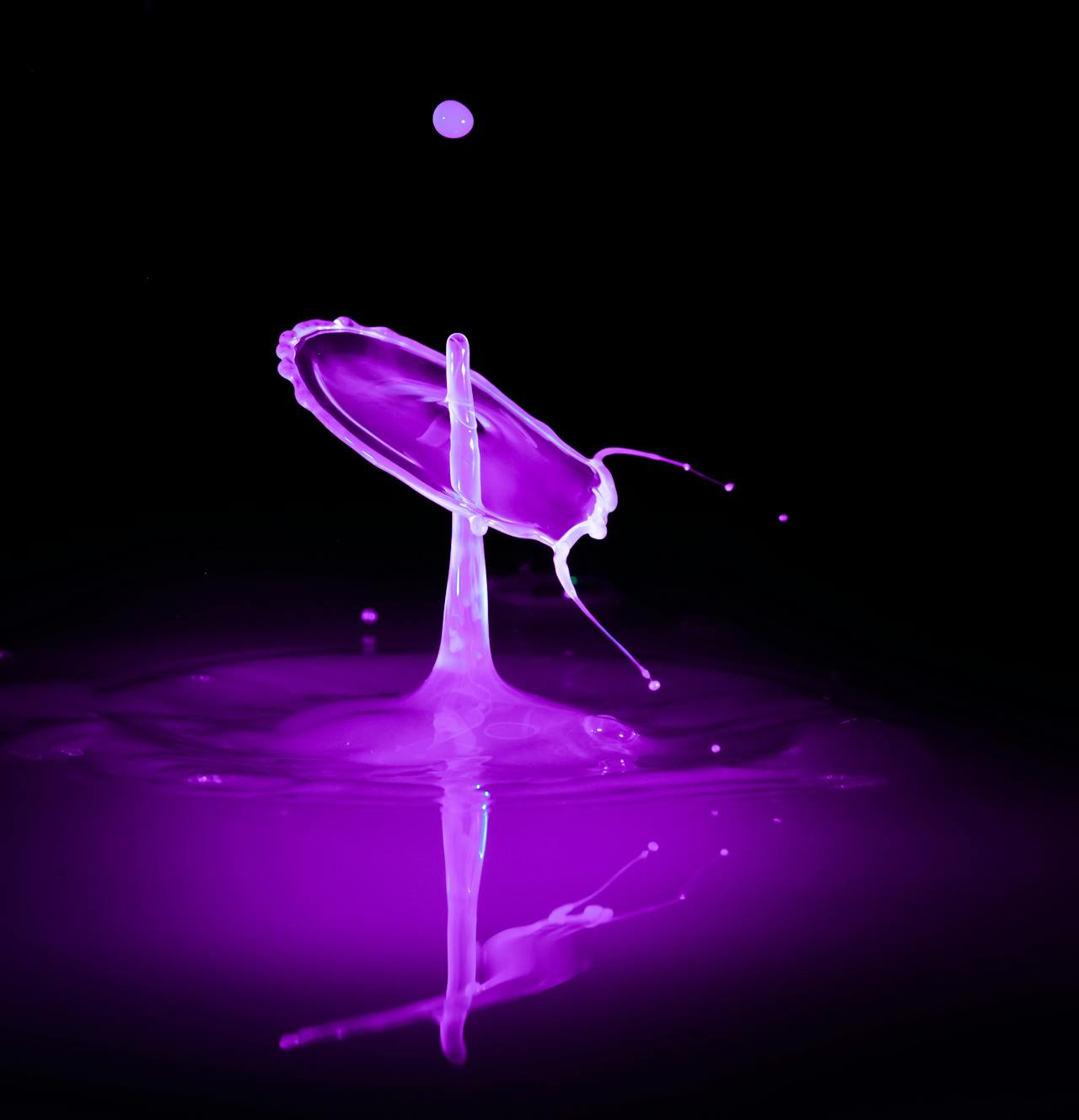 Motion Graphics