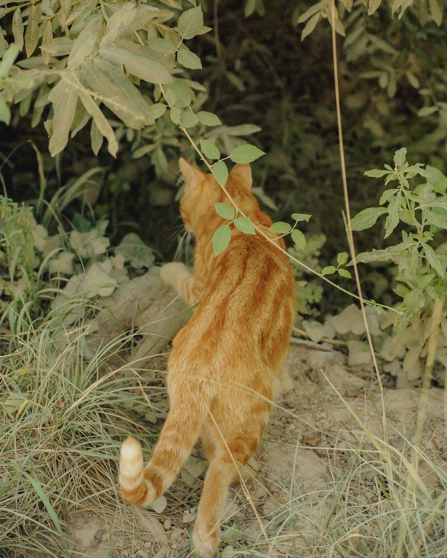 Personal Photography